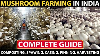 MUSHROOM FARMING  MUSHROOM CULTIVATION in India  Composting Spawning Casing Pinning Harvesting [upl. by Aisac]