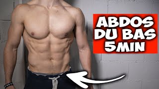 5min Abdos du bas entrainement maison  ventre plat [upl. by Lorsung846]