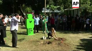 Supermodel plants a tree in Rio de Janeiro [upl. by Alsi]