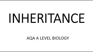 INHERITANCE  AQA A LEVEL BIOLOGY  EXAM QUESTIONS RUN THROUGH [upl. by Nileek800]