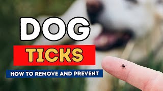 Dog Ticks How To Remove and Prevent [upl. by Ledah156]