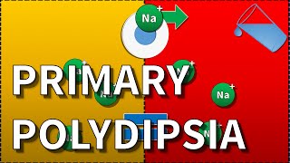 Primary Polydipsia Hyponatraemia [upl. by Alrac450]