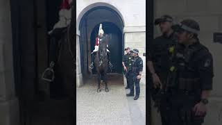 Five shocking moments from tourist involving the kings guards horseguardsparade [upl. by Ignatius162]