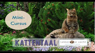 Kattentaal  MiniCursus [upl. by Aber]