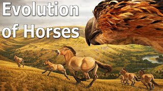 The Truth of Horse Evolution  Part 1 [upl. by Fadiman]