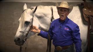 How to Bridle a Horse Western [upl. by Lear]