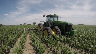 Hilling Corn for the first time this year RidgingCultivating [upl. by Nylevol133]