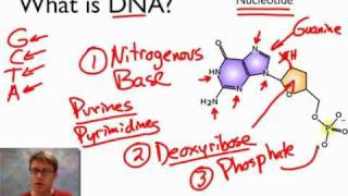 What is DNA [upl. by Luba]