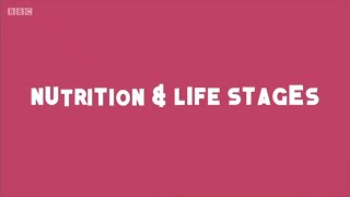 Nutrition and Life Stages [upl. by Durstin564]