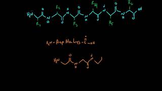 Drawing Peptides [upl. by Edmondo]