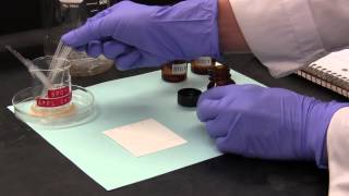 ThinLayer Chromatography TLC [upl. by Shanna]