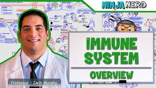 Immunology  Immune System Overview [upl. by Trilbi]