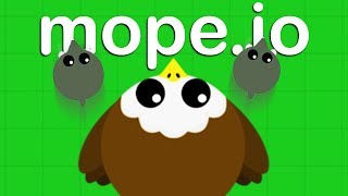 AMAZING New BALD EAGLE ANIMAL  Mopeio Gameplay [upl. by Lledyl]