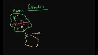 Estimators  the basics [upl. by Iadahs]