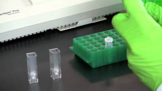 DNA Quantitation Using a Spectrophotometer [upl. by Stanislas]