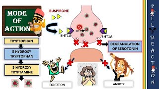 Depression Medications  Pharmacology  Nervous System  LevelUpRN [upl. by Edyak]