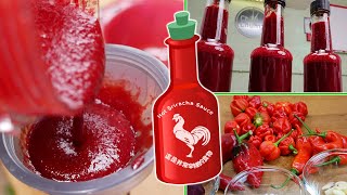 Sriracha Sauce Recipe  ChilliChump Style [upl. by Iraam329]