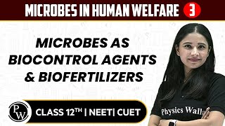 Microbes in Human Welfare 03  Microbes as Biocontrol Agents amp Biofertilizers  12thNEETCUET [upl. by Elokcin]