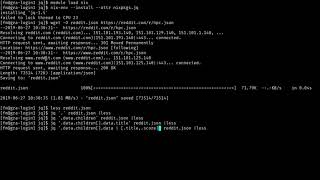 Processing JSON files on the command line [upl. by Akselav904]