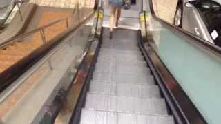 Schindler Escalators Near Sears Woodfield Mall In Schaumburg IL [upl. by Carnay144]