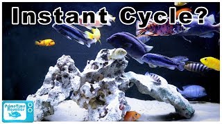 How to Cycle a Fish Tank FAST [upl. by Sibylla]