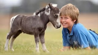 Mini Horses Are Soo Damn Cute [upl. by Eaton]