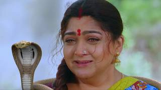 Nandhini  நந்தினி  Episode 456  Sun TV Serial  Super Hit Tamil Serial [upl. by Enihsnus]