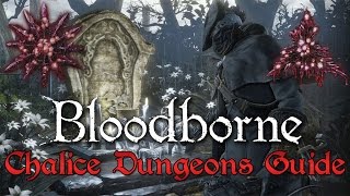 Chalice Dungeons Gems Farming Guide  Bloodborne [upl. by Llerrod]