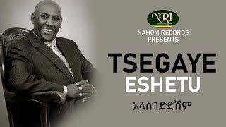 Tsegaye Eshetu  Alasgedidishim  አላስገድድሽም  Ethiopian Music [upl. by Hepza]