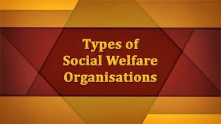 Types of Social Welfare Organisations [upl. by Agostino]