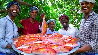 INDIAN GOAT FISH FRY  20 Kg Fish Fry with Flavoured Oil  Nagarai Meen Poriyal  Cooking In Village [upl. by Opal]