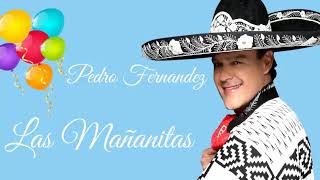 🎉 PEDRO FERNANDEZ 🎁 LAS MAÑANITAS PARA CUMPLIAÑERITOS [upl. by Aaberg]