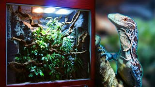 How I made a Huge Reptile Vivarium – Full Build [upl. by Aire372]