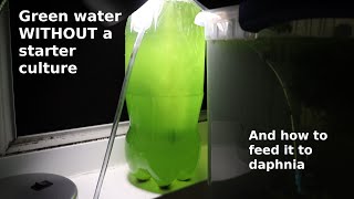 Green Water WITHOUT a Starter Culture  From Scratch  How To [upl. by Ecitsuj]