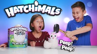 EVAN SMASHED MY HATCHIMALS Surprise Egg  Review amp Destroy [upl. by Poul458]