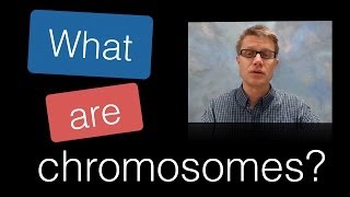 What are Chromosomes [upl. by Nodmac]