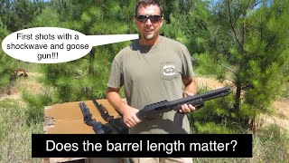 Shotgun Barrel Length  Barrel Length Comparison [upl. by Ansley]