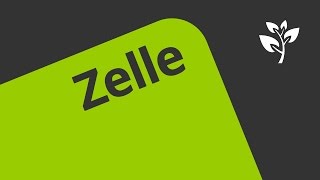 Zellen und Zellformen  Biologie  Cytologie [upl. by Tris]