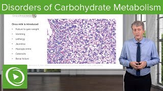 Disorders of Carbohydrate Metabolism – Pediatrics  Lecturio [upl. by Mariquilla626]