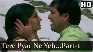 Tere Pyar Ne  Govinda  Raveena Tandon  Rajaji  Udit Narayan  Anand Milind  Hindi Hit Songs [upl. by Iadam399]