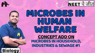 Microbes in human Welfare Class 12 Biology NEET  NCERT Chapter 8  Household Industries Sewage 1 [upl. by Crespo]