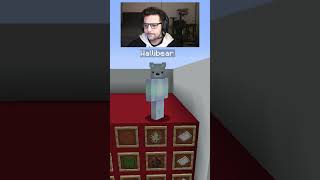 WALLIBEAR TAKES ON MOB ARENA gaming ⁠youtube funny minecraft memes tiktok shorts ytshorts [upl. by Mattah]