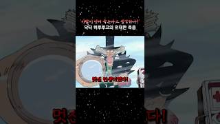 ‘사람이 언제 죽는다고 생각하나’ 원피스 onepiece [upl. by Latsyrk251]