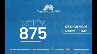 Sesión 875 del Pleno de la Asamblea Nacional [upl. by Tol606]