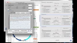 Subcloning using Serial Cloner [upl. by Morry]