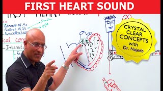 S1 Heart Sounds and Murmurs  First Heart Sound  Dr Najeeb🫀 [upl. by Dareece]