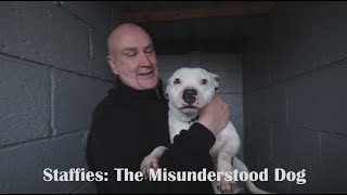 Staffies The Misunderstood Dog  Documentary [upl. by Awra224]