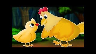 El cuento del pollito  Cuentos infantiles [upl. by Ydnyl]