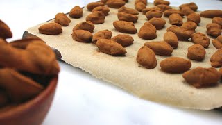 Easy Chocolate Covered Almonds Recipe [upl. by Esinwahs]