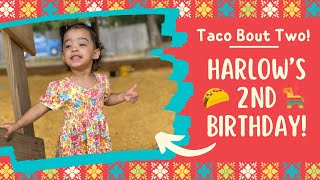 Harlow’s 2nd Birthday Fiesta 🪅 🌮 [upl. by Ryon]